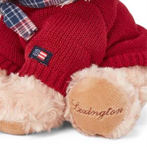 Lexington Teddy Dog
