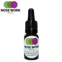 NoseWork Hydrolat Eukalyptus 10ml