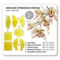 JEM "Medium Cymbidium Orchid", sett à 8