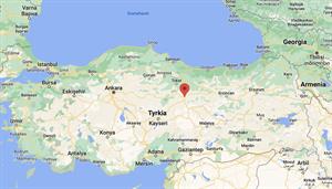 70511 Sivas kelim 180	x 110