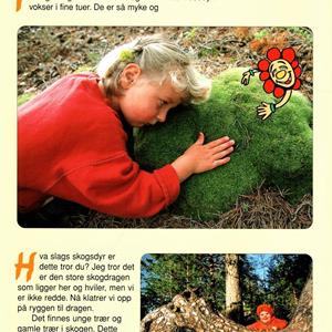 Barnas naturbøker - I skog og mark