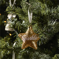 Riviera Maison Sparkle Star Ornament