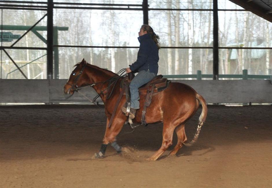 Catten - Quarter Hill Ranch