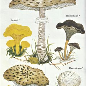 Lek med Mons og Marit fra vår til vinter, 1990