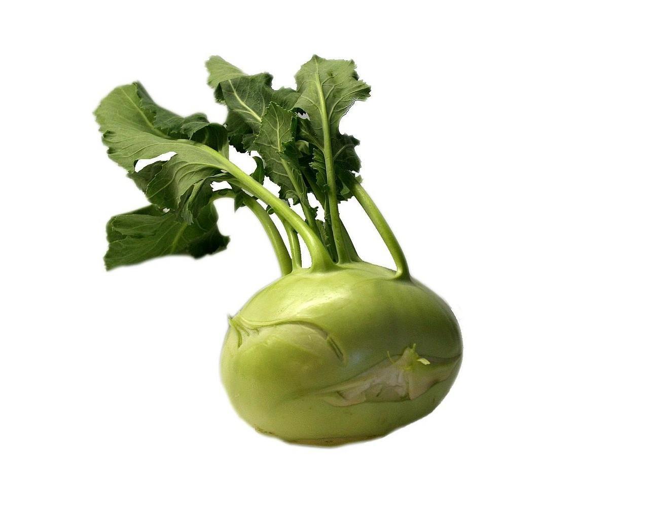 Kyssäkaali 1 kg, luomu