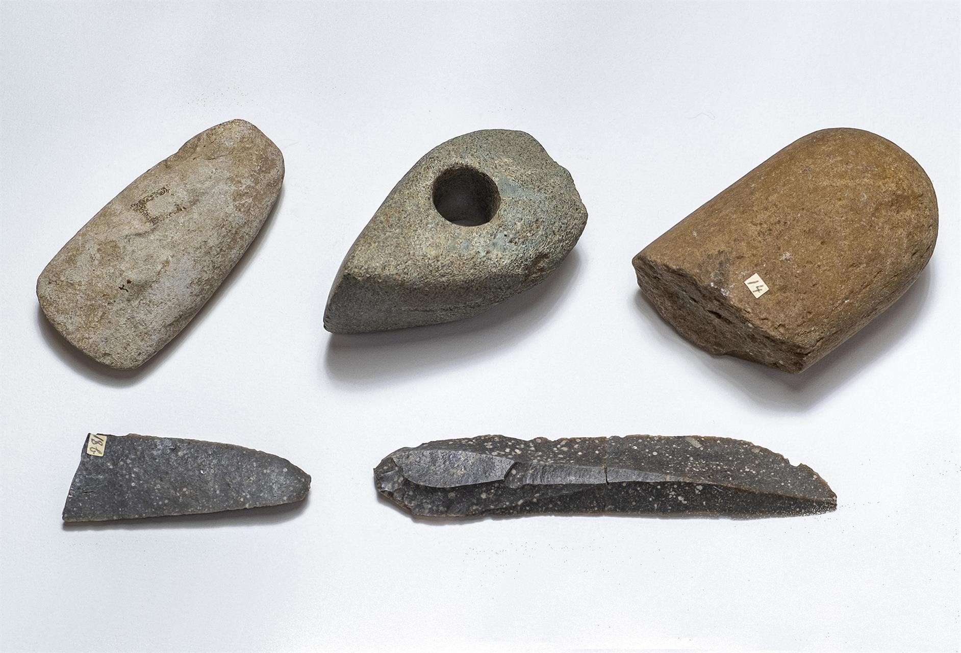 Stenåldersyxor, fynd från Nöbbeled