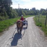 Liten rockardvagn för ponnykörning 