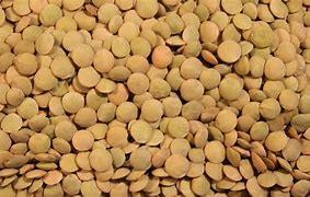 ERÄPÄIVÄTARJOUS Vihreä linssi 1 kg, luomu