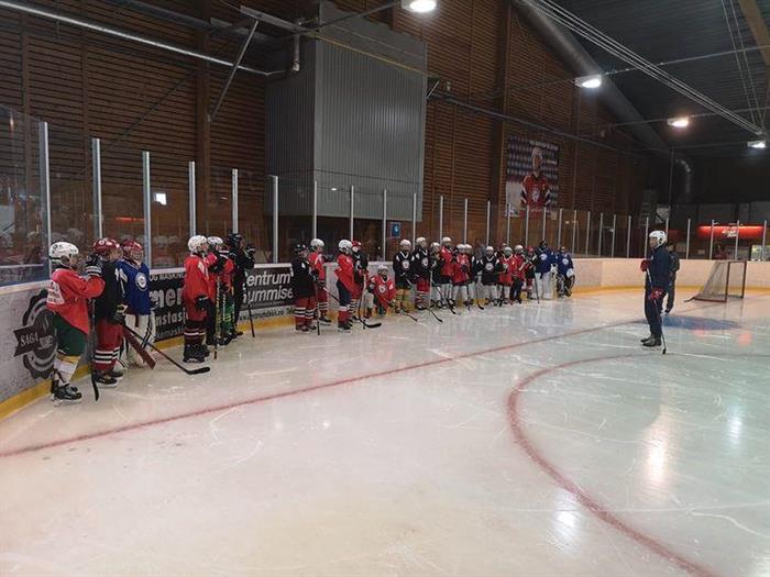 Velkommen til Nes IK`s sommerhockey 2021!