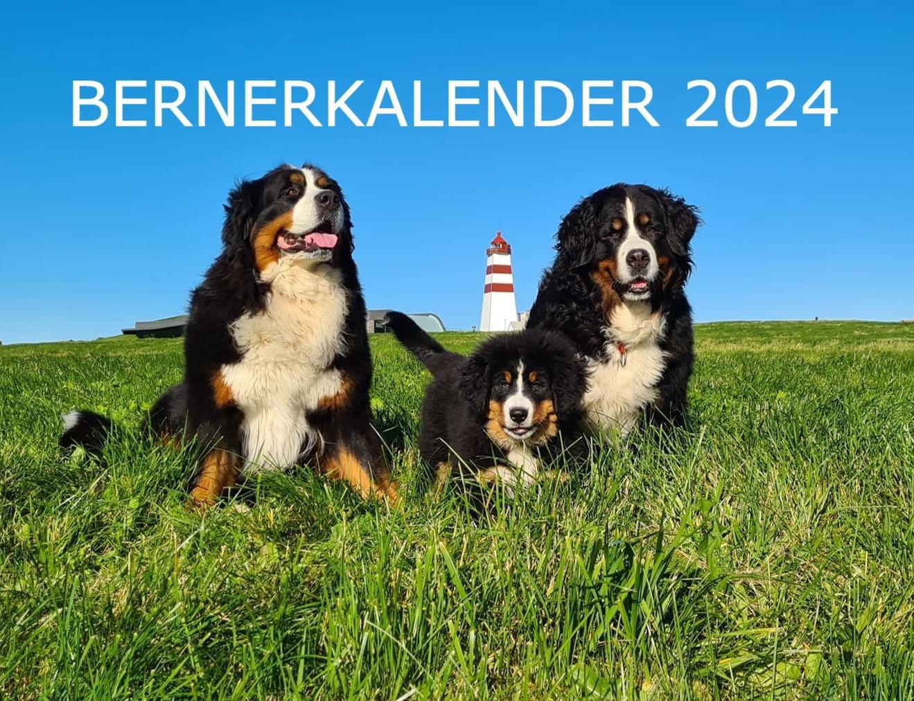 Bernerkalender 2024 - medlemspris