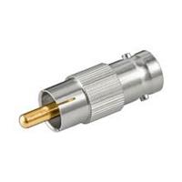 BNC HUNN/PHONO HANN ADAPTER 
