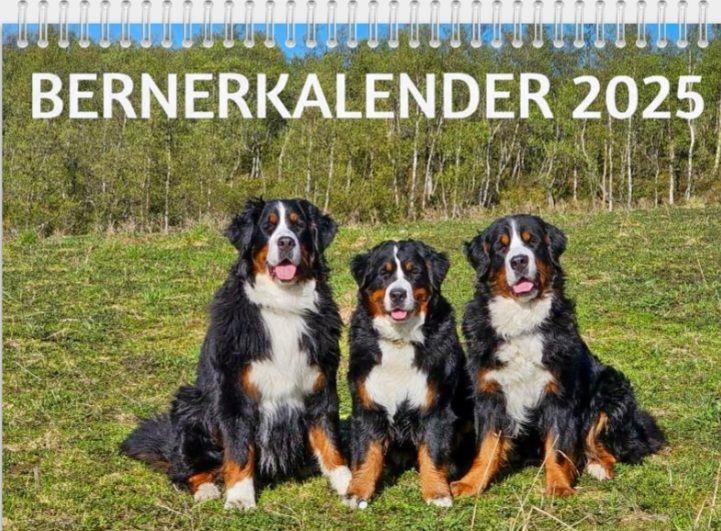 Bernerkalender 2025