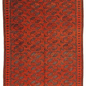 5050 Afghan Chub Bash 236 x 158