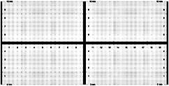 LMS-20,CAL STND,ON SLIDE,TRACE