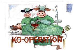 Ko-operation 7x9