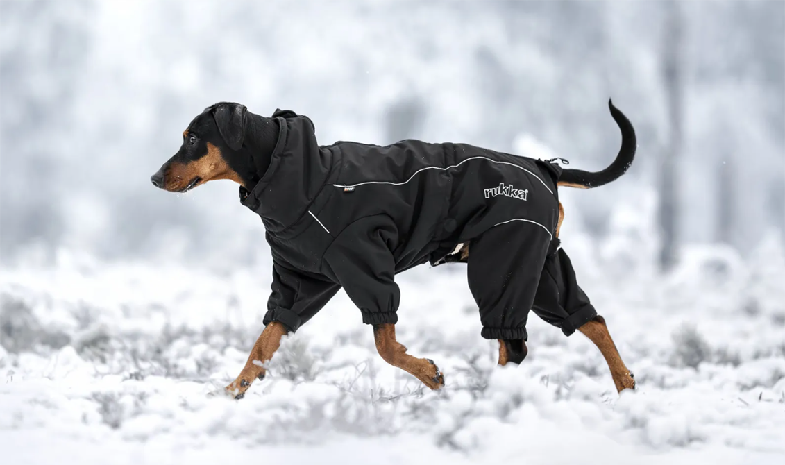 NYHET! Rukka Thermal Hundoverall strl 25cm - 55cm