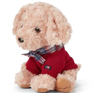 Lexington Teddy Dog