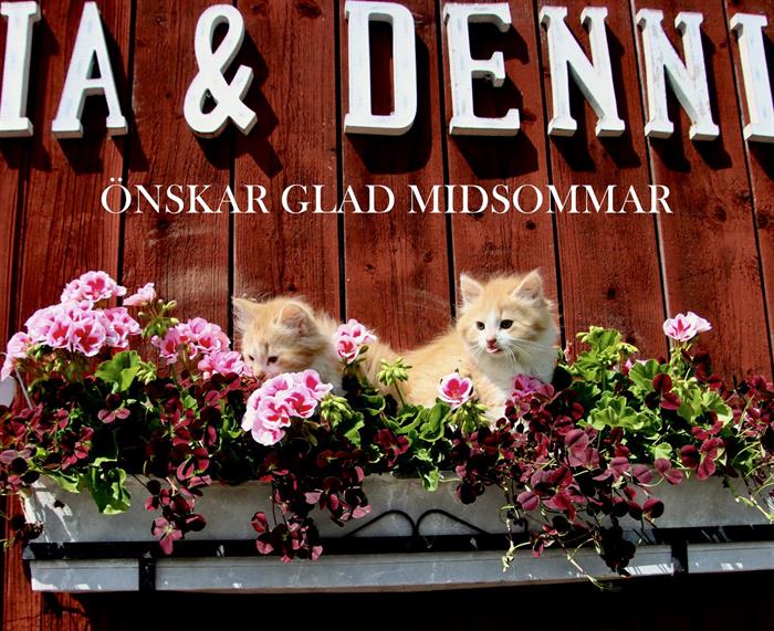 Glad Midsommar 🌹 🌞 🌈