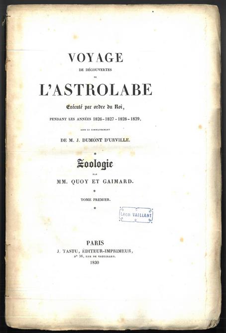 J. Dumont D'Urville : Voyage de découvertes de L’Astrolabe. Exécuté par ordre du Roi, pendant les années 1826 - 1827 - 1828 - 1829, sous le commandement de M. (...). Bind I, II og IV (av fem).