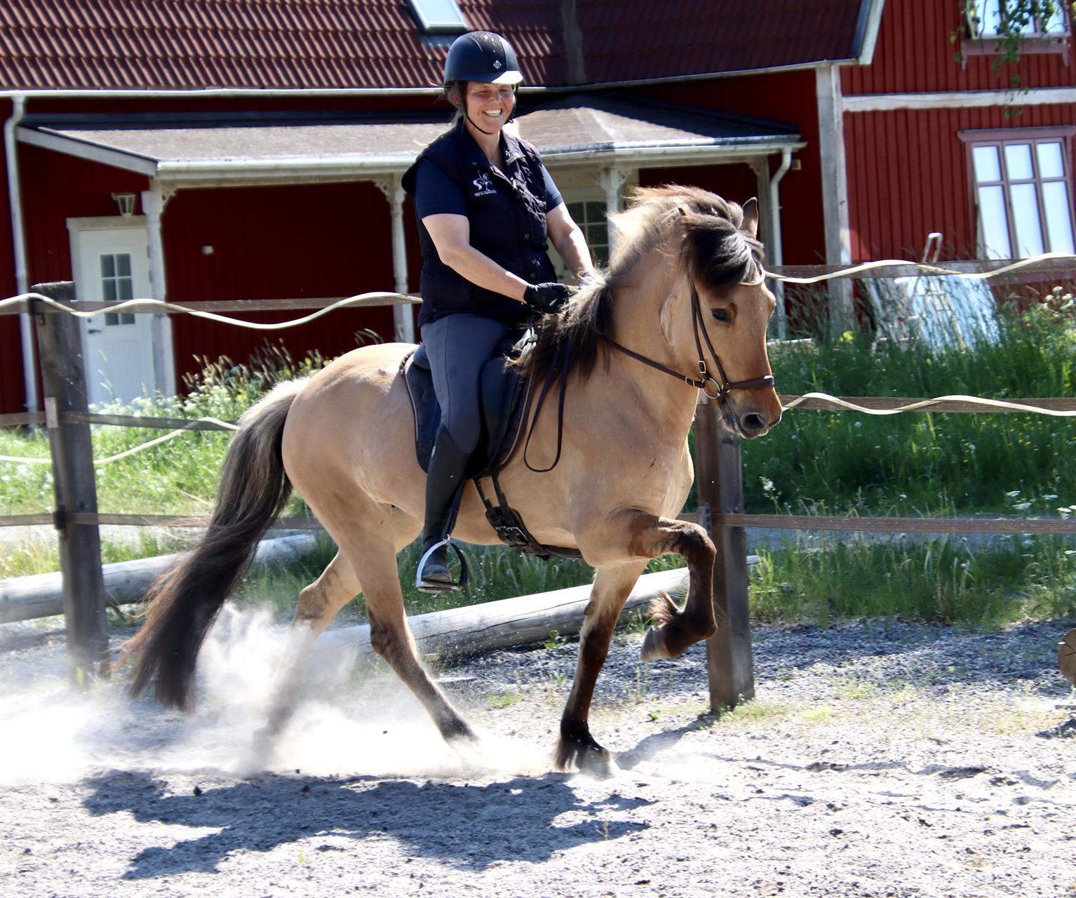 Saedis Divudóttir från Lindnäs 