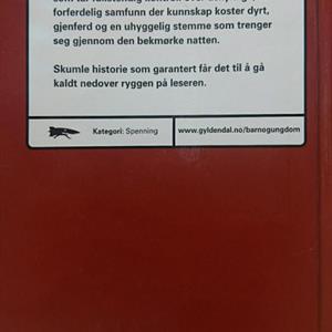 Stemmen i natten og andre grøsserhistorier