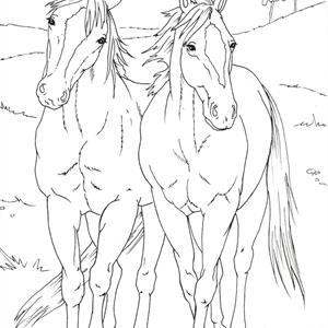 Tegne og fargelegge hester