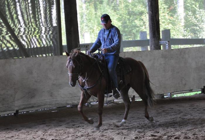 Justin - Quarter Hill Ranch