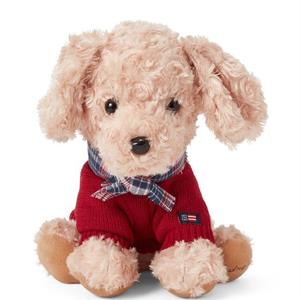 Lexington Teddy Dog