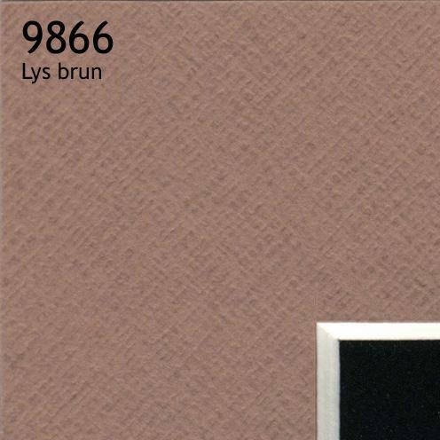 9866 lys brun