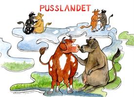 Pusslandet 7x9