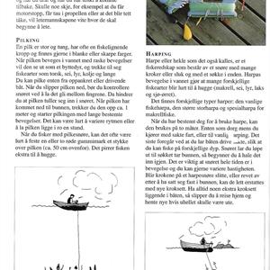 Barnas bok om sjøfiske