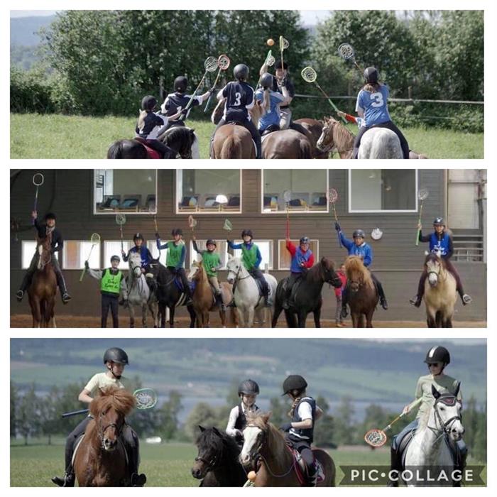 Nok en vellykket Polocrosse-trening gjennomført