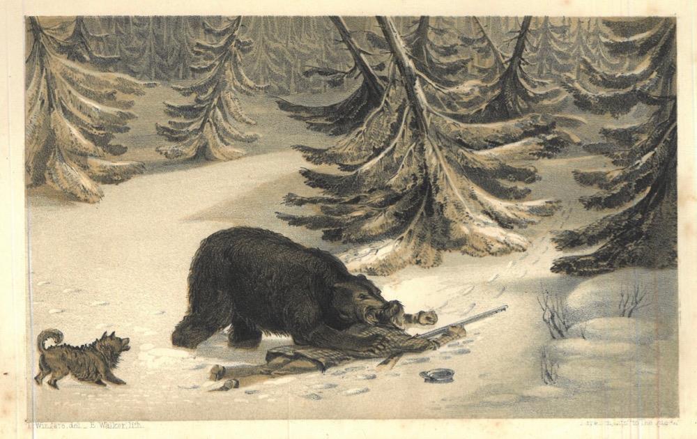 LLOYD: Scandinavian adventures, during a residence of upwards of twenty years. Representing sporting incidents, and subjects of natural history, and devices for entrapping wild animals. With some account of the northern fauna. By (...), author of "Field sports of the north". In two volumes. Vol. I-II.