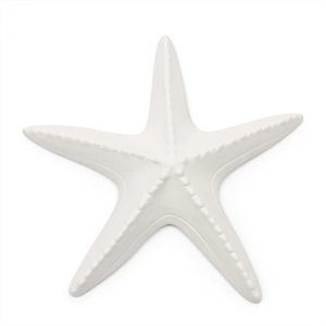 Riviera Maison Ètoile Starfish Decoration
