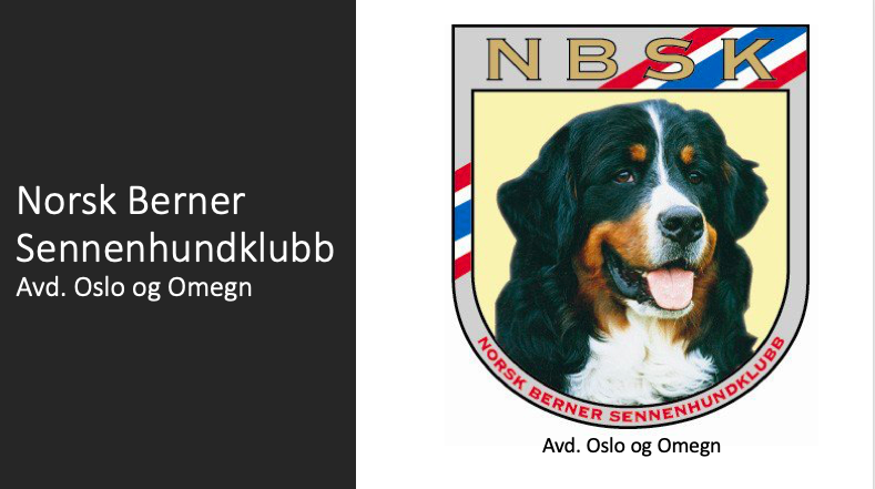 Norsk Bernersennenhundklubb, avd. Oslo og Omegn