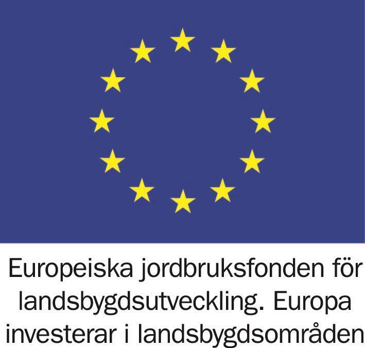 EU Logo
