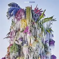 WILCO: COUSIN LP