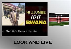 NI UJUMBE WA BWANA - pdf