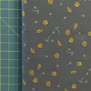 Cotton & steel: Canyon spring ac204