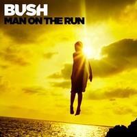 BUSH: MAN ON THE RUN 2LP DELUXE