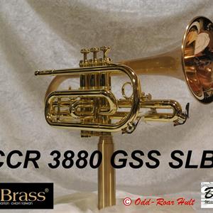 Kornett Bb CCR-3880-GSS-SLB-PIB ML de luxe bag