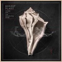 PLANT ROBERT: LULLABY AND...THE CEASELESS ROAR 2LP+CD