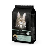 Amba by Kyli Feel Good 400 g kana