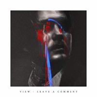 VIEW: LEAVE A COMMENT LP