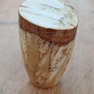 Masurbjörk med bark