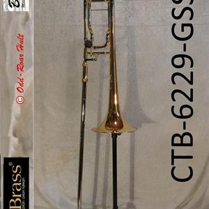 Trombone B/F CTB-6229-GSS-YNNN-N3 
