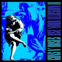 GUNS N'ROSES: USE YOUR ILLUSION 2