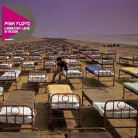 PINK FLOYD: A MOMENTARY LAPSE OF REASON
