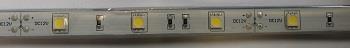 LED-NAUHA IP68 KIRKAS 24V 7,2W/m  5m