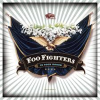 FOO FIGHTERS: IN YOUR HONOR 2LP